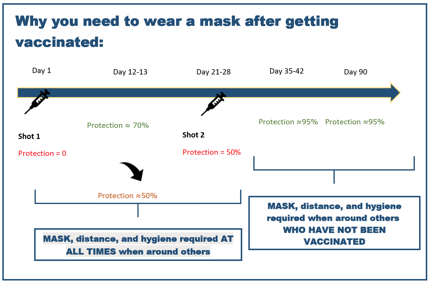Timeline showing why you need to wear a mask after getting vaccinated